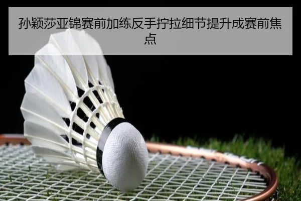孙颖莎亚锦赛前加练反手拧拉细节提升成赛前焦点